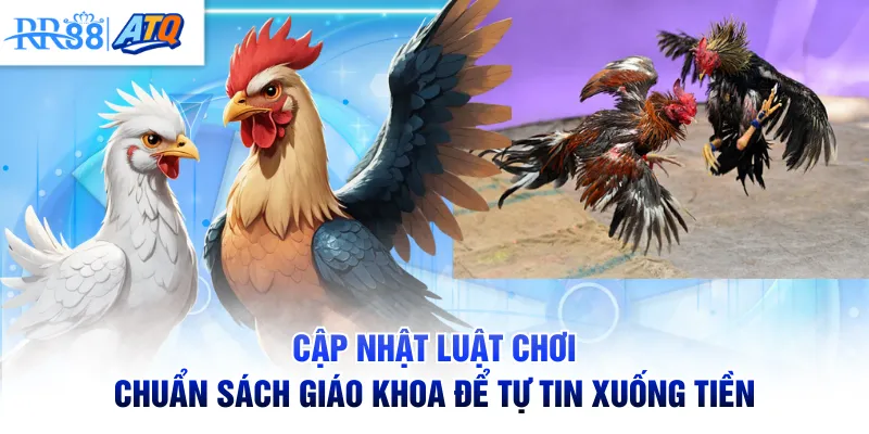 Cập nhật luật chơi chuẩn sách giáo khoa để tự tin xuống tiền