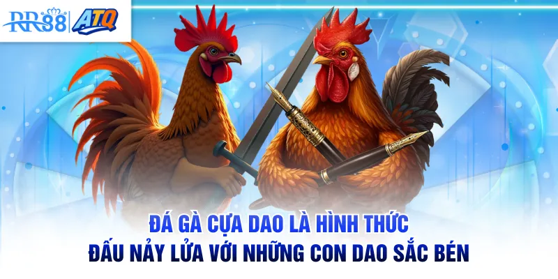 Đá gà cựa dao là hình thức đấu nảy lửa với những con dao sắc bén
