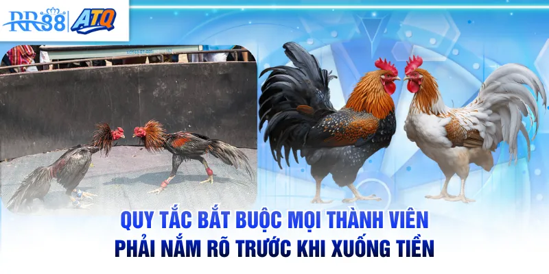 Quy tắc bắt buộc mọi thành viên phải nắm rõ trước khi xuống tiền