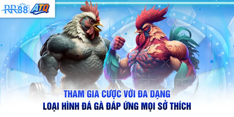 Tham gia cược với đa dạng loại hình đá gà đáp ứng mọi sở thích